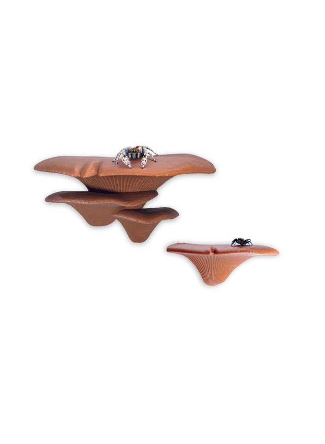Daerky Jumping Spider Mushroom Shelf, Magnetically Concealed Jumping Spider Habitat,Serves As Enclosure Decorate Accessories for Spider Climbing Feeding and Platforms (Brown) - Image 1
