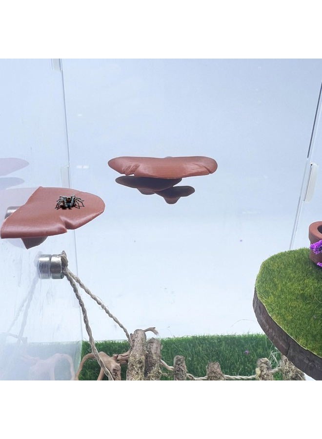 Daerky Jumping Spider Mushroom Shelf, Magnetically Concealed Jumping Spider Habitat,Serves As Enclosure Decorate Accessories for Spider Climbing Feeding and Platforms (Brown) - Image 2