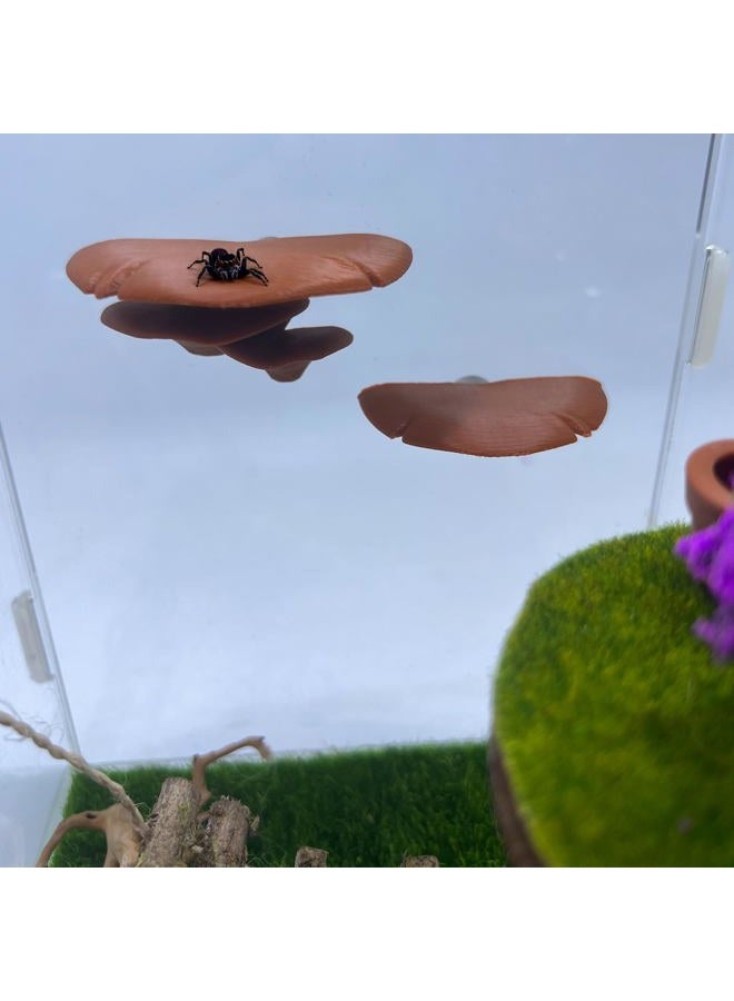 Daerky Jumping Spider Mushroom Shelf, Magnetically Concealed Jumping Spider Habitat,Serves As Enclosure Decorate Accessories for Spider Climbing Feeding and Platforms (Brown) - Image 5