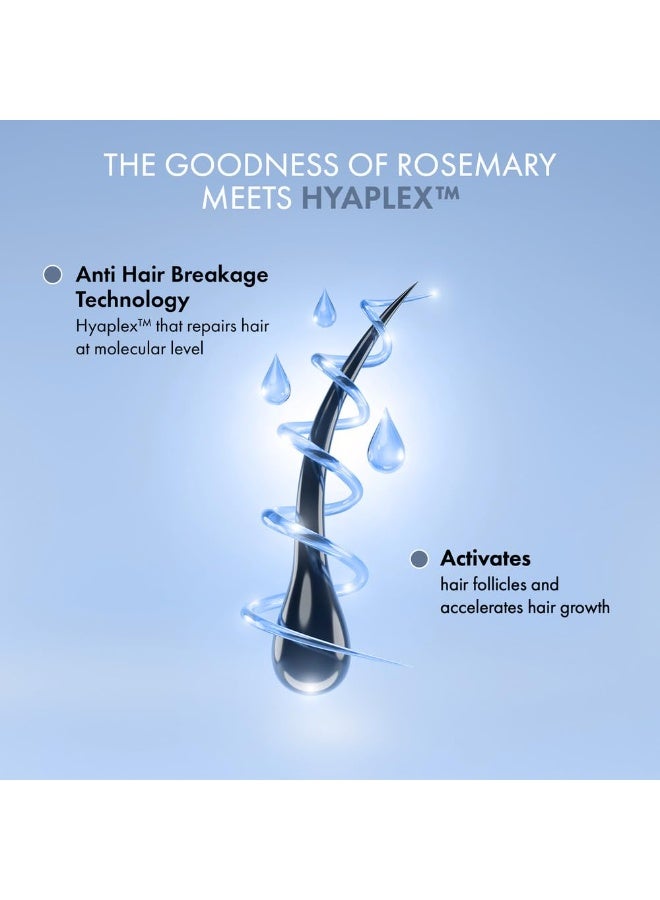 ثريفيكو شامبو ثرايفكو روزماري لنمو الشعر | يحد من تساقط الشعر ويعزز كثافته | مع ببتيد البازلاء، والكافيين، وماء الأرز، وحمض الهيالورونيك، وHyaplex™ | يقوي جذور الشعر | خالٍ من الكبريتات والبارابين | للرجال والنساء، 250 مل - Image 2