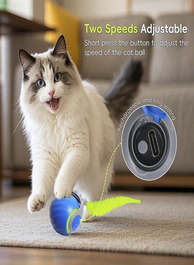 لعبة Petrendy Speedy Tail للقطط 2.0، كرة تفاعلية للقطط المنزلية التي تشعر بالملل، كرة لعب متحركة تلقائيًا، سرعتان قابلتان للتعديل مع ذيل بديل - Image 4