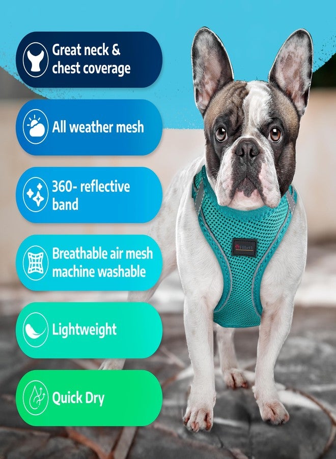 Filbert Dog Harness Large Sized Dog, Step-in Reflective Harness Large Sized Dogs, Mesh Vest, Adjustable, Soft, High Reflectivity, Breathable Fabric, Heavy Duty, Black - Image 4