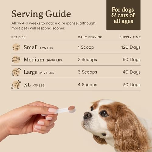 Fera Pets Mushroom Supplement for Dogs & Cats with Turkey Tail - USDA Organic - Cognitive and Immune Support - Enhances Liver Function - Supports a Healthy Gut - Powder - 120 Scoops - Image 5
