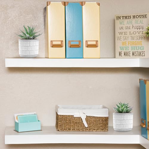 Der Rose Set of 2 Succulents Plants Artificial Fake Cactus Plants for Living Room Bathroom Bedroom Aesthetic Home Shelf Decor - Image 4