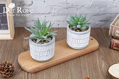 Der Rose Set of 2 Succulents Plants Artificial Fake Cactus Plants for Living Room Bathroom Bedroom Aesthetic Home Shelf Decor - Image 2