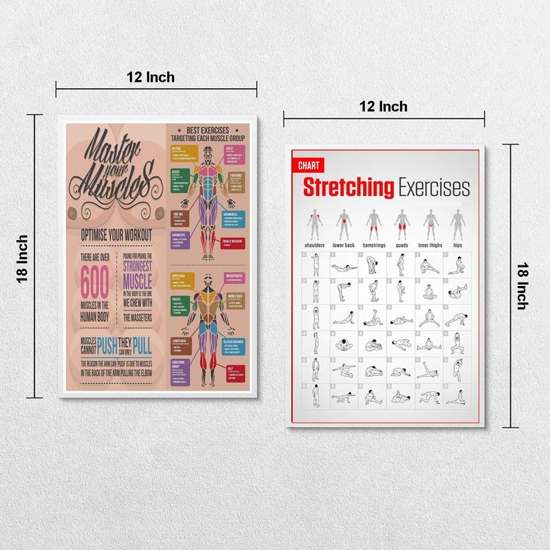 PIXELARTZ Paper Wall Poster Motivational Workout & Exercises Illustrations Bodybuilding Gym Posters HD Quality Posters for Home,Office,Room Wall Multicolor 12x18 inches (Pack of 6 posters) (03,Large) - Image 4