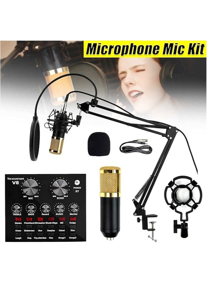 Generic V8 Live Sound Card Microphone Set With Rechargeable 12 Kinds Of Auxiliary Background Sound K Song Singing Equipment With Bluetooth Connection  - Image 5