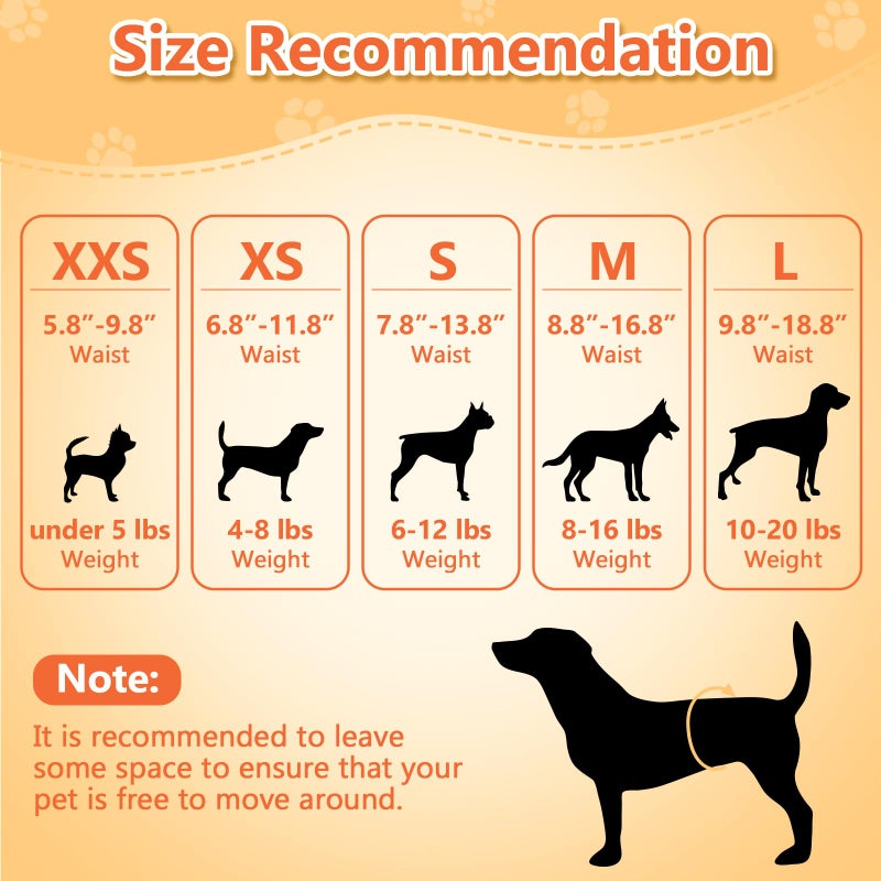 Pet Soft Doggie Diapers - Disposable Dog Diapers for Female in Heat Period or Urine Incontinence, Puppy & Cat Diapers Ultra Absorbent 12pcs XXSmall - Image 5