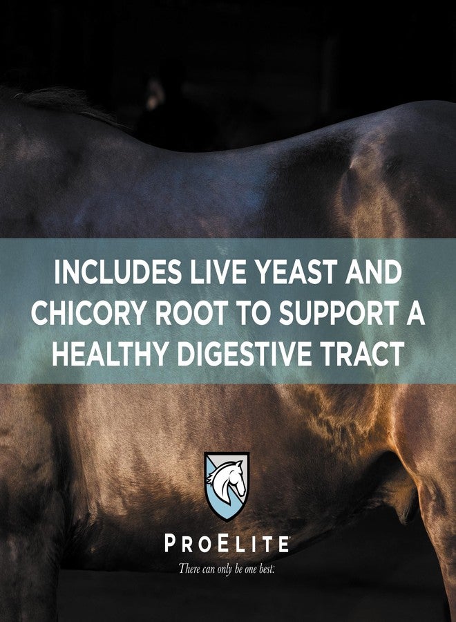 برو إليت برو إيليت الوردي المهدئ فائق القوة، مكمل غذائي للخيول، يعزز صحة المعدة والأمعاء الخلفية، 3 أرطال - Image 3