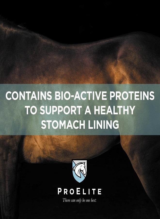 برو إليت برو إيليت الوردي المهدئ فائق القوة، مكمل غذائي للخيول، يعزز صحة المعدة والأمعاء الخلفية، 3 أرطال - Image 2