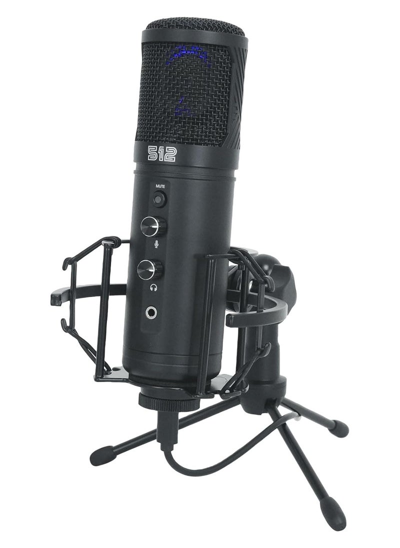 Tempest Large-Diaphragm Studio Condenser USB Mic - pzsku/Z04C4C0D3E009F355B5C9Z/45/_/1716970693/649c368f-f493-40f6-bca4-5940bad3387a