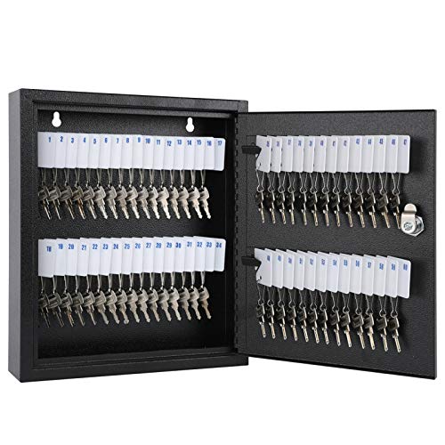KYODOLED Key Storage Lock Box with Key, Locking Key Cabinet, 60 Key Management Wall Mount with Key Lock, Key Hooks & Tags Key Labels, 2.5" D x 10.2" W x 12.1" H (Black,60 Key) - Image 1