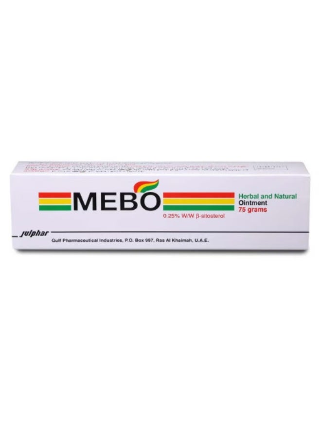Julphar Mebo Ointment for Burns & Wounds – Effective Treatment for Superficial Burns and Faster Skin Healing - Image 1