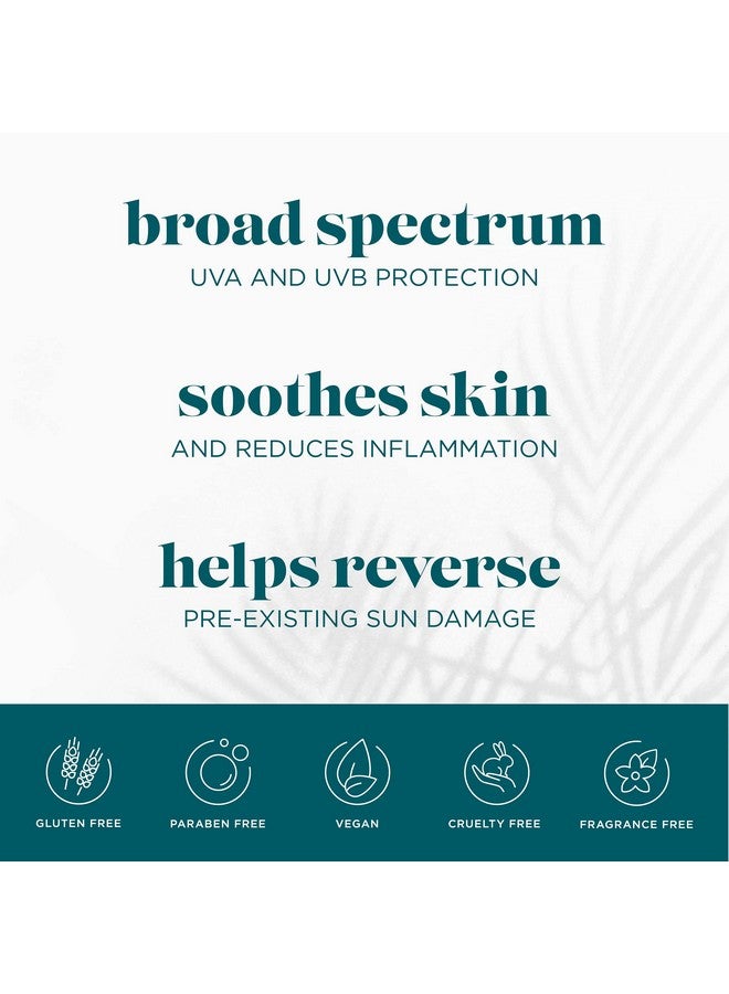 Vi Derm Lightweight Daily Uv Defense Broad Spectrum Spf 50+ Sunscreen 2 Fl Oz / 59 Ml - Image 4