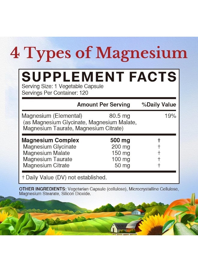 Vitalitown Magnesium Complex, Magnesium Glycinate, Malate, Taurate & Citrate, Chelated Forms, High Absorption, Bone, Heart, Muscle, Immune, Energy, Sleep & Digestion, Non-GMO