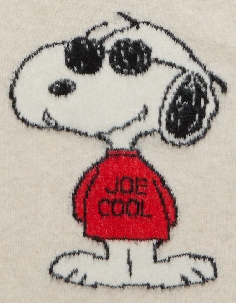 American Eagle  AE Whoa So Soft Joe Cool Graphic Sweater for Women | Best Price UAE