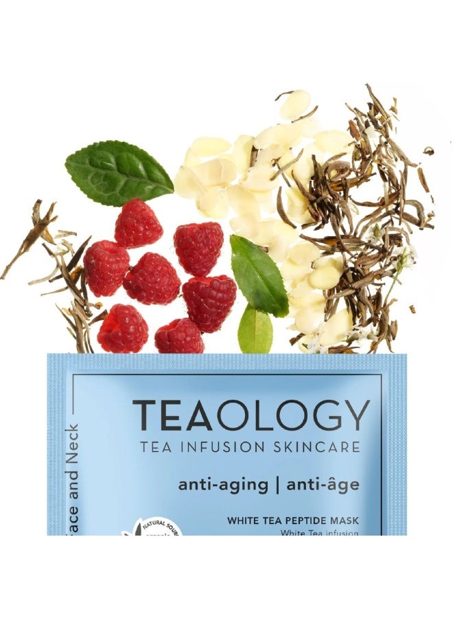 تيولوجي قناع الببتيد بالشاي الأبيض المضاد للشيخوخة من تيولوجي، وحدة واحدة - Image 3