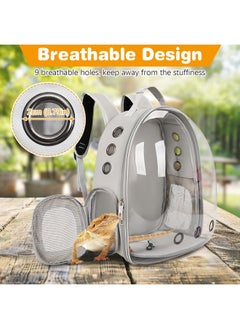 Kathson kathson Bearded Dragon Carrier with Harness and Leash Set, Large Reptile Travel Carrier Portable Lizard Backpack Clear Small Animals Carrying Bag for Gecko Hamster Rabbit Hedgehog Kitten (Black)  - Image 3