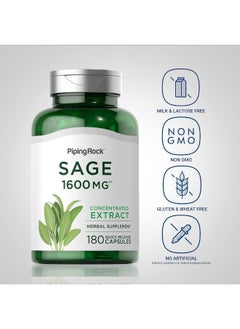 Piping Rock Sage Supplement 1600Mg | 180 Capsules | Concentrated Herbal Extract | Non-Gmo, Gluten Free  - Image 3