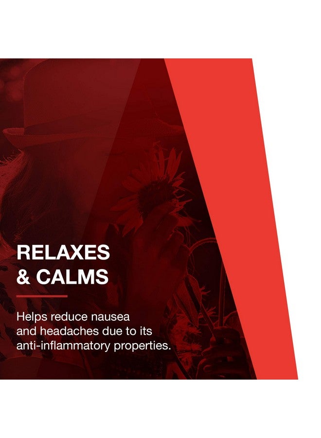 Protocol For Life Balance زيت النعناع بروتوكول دعم الهضم مع زيت الزنجبيل والشمر 90 كبسولة لينة - Image 5