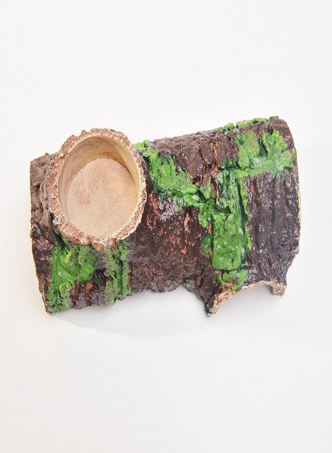 disclean Medium Realistic Resin Hollow Log Reptile Hide Natural Looking Design with Exterior Feeding Ledge for Bearded Dragons Geckos and Exotic Pets - Image 4