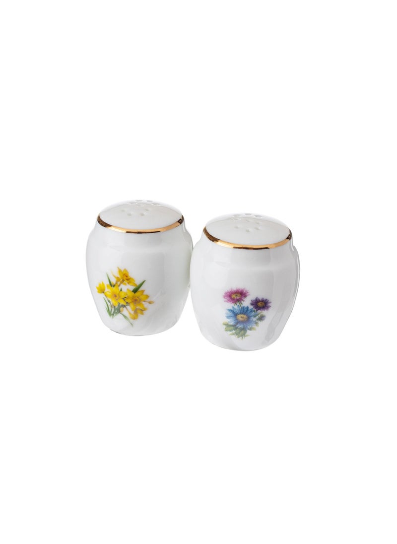 Dania Ceramic salt and pepper box set  - Image 1