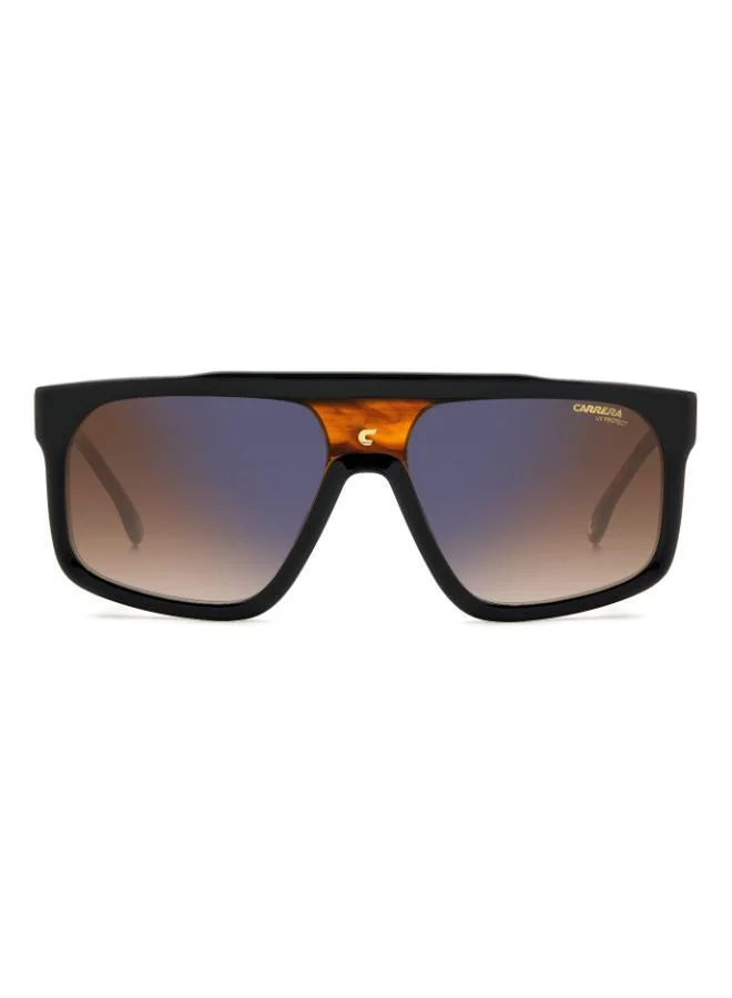 Carrera  Square Sunglasses  | Best Price UAE