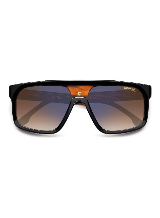 Carrera  Square Sunglasses  | Best Price UAE