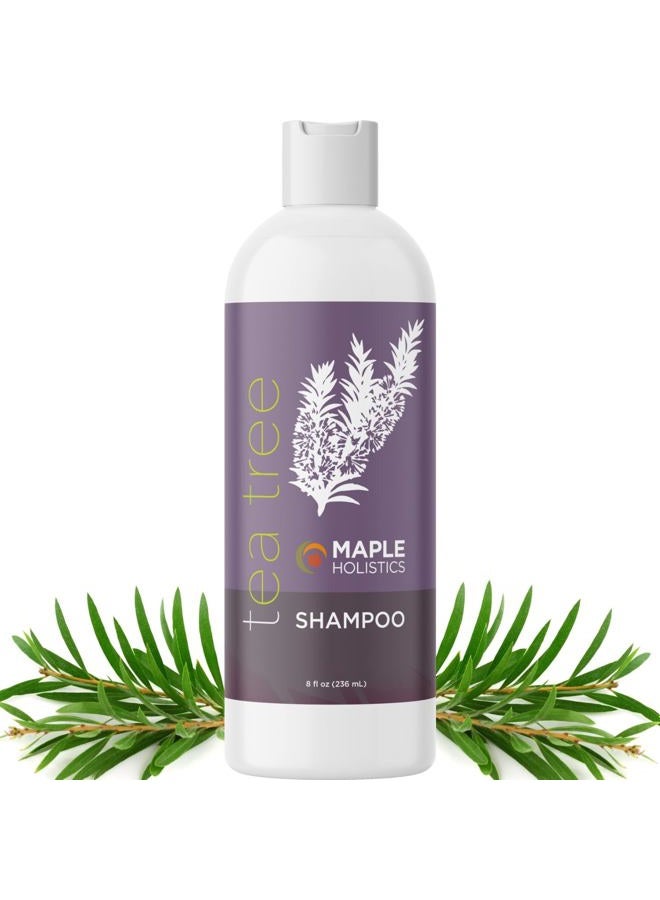 Maple Holistics شامبو شجرة الشاي للشعر الدهني - شامبو م clarifying خالي من البارابين والكبريتات للتراكم وفروة الرأس الجافة مع زيت شجرة الشاي للشعر - شامبو شجرة الشاي المنقي للعلاج العطري للشعر الدهني - Image 1