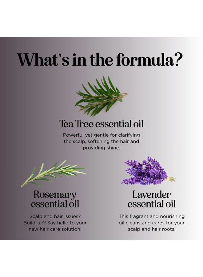 Maple Holistics شامبو شجرة الشاي للشعر الدهني - شامبو م clarifying خالي من البارابين والكبريتات للتراكم وفروة الرأس الجافة مع زيت شجرة الشاي للشعر - شامبو شجرة الشاي المنقي للعلاج العطري للشعر الدهني - Image 4