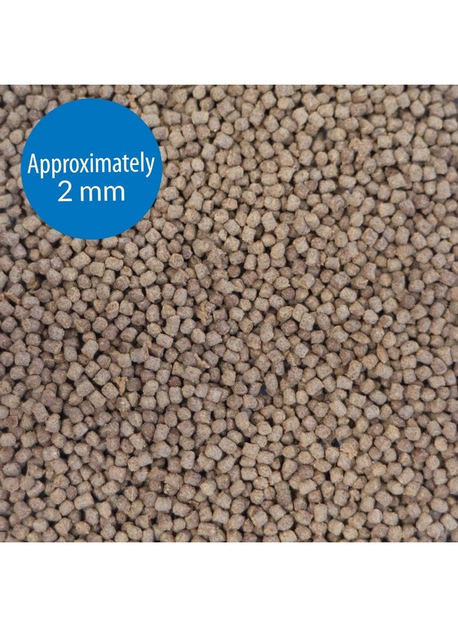 API API CICHLID PELLETS Floating Pellets Fish Food 4.2-Ounce Container  - Image 4