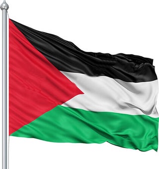 Palestine Flag Palestine Flag 70 x 105 cm - pzsku/Z04CEFAB89123747634D6Z/45/_/1730816106/32d86761-8054-4037-9104-d3c3a267d598