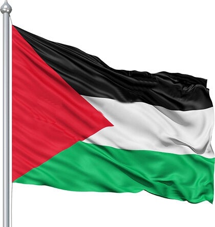 Palestine Flag Palestine Flag 70 x 105 cm