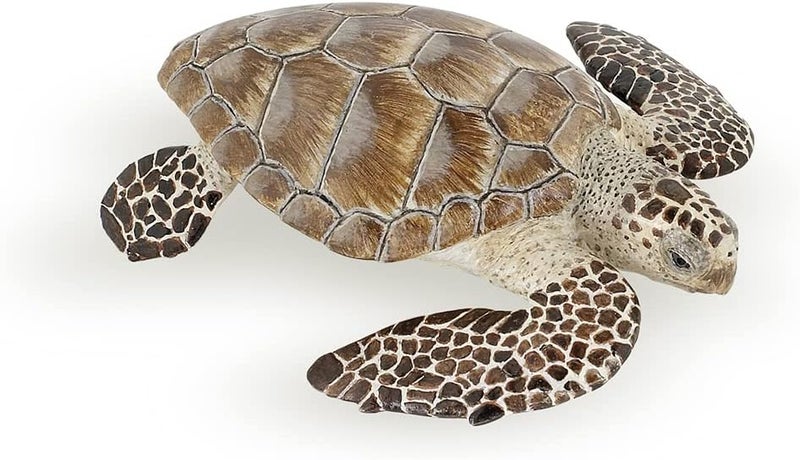 Papo  Loggerhead Turtle  from 3 Years Old  Marine Life Animals  Realistic Figurine  Educational Toy  HandPainted  Collection  Decoration  Childrens Gift  Early Years  Playful Toy  56005 - Image 1