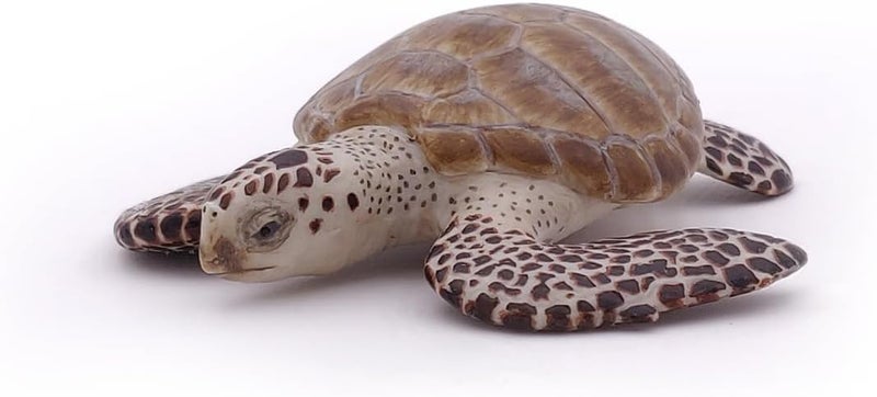 Papo  Loggerhead Turtle  from 3 Years Old  Marine Life Animals  Realistic Figurine  Educational Toy  HandPainted  Collection  Decoration  Childrens Gift  Early Years  Playful Toy  56005 - Image 5