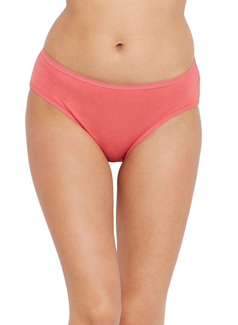 Bodycare Ladies Panty: Ultimate Comfort - Pack of 3 - Image 1