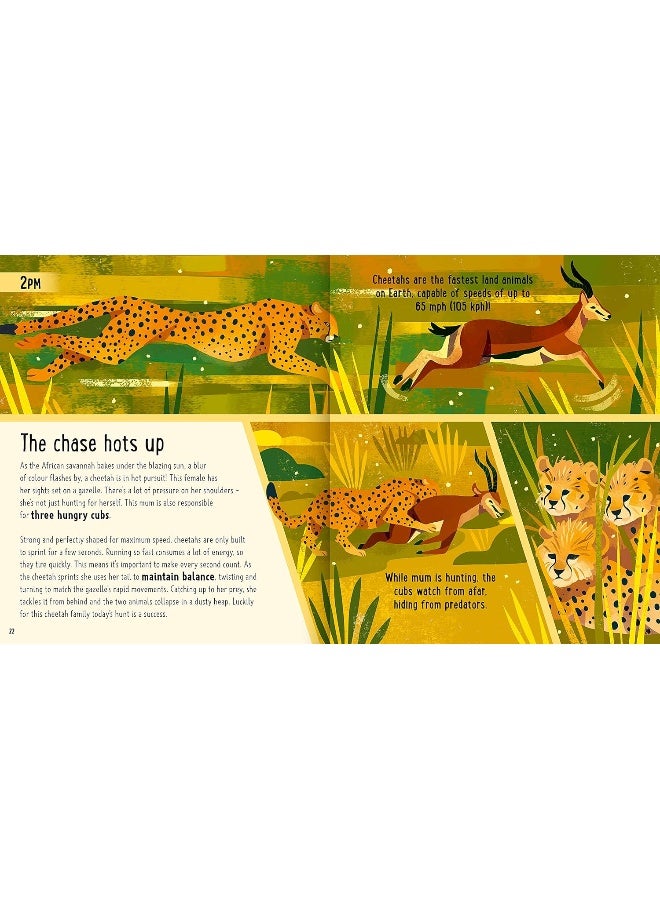 Big Cats (A Day in the Life): What Do Lions, Tigers and Panthers Get up to All D  - Image 5