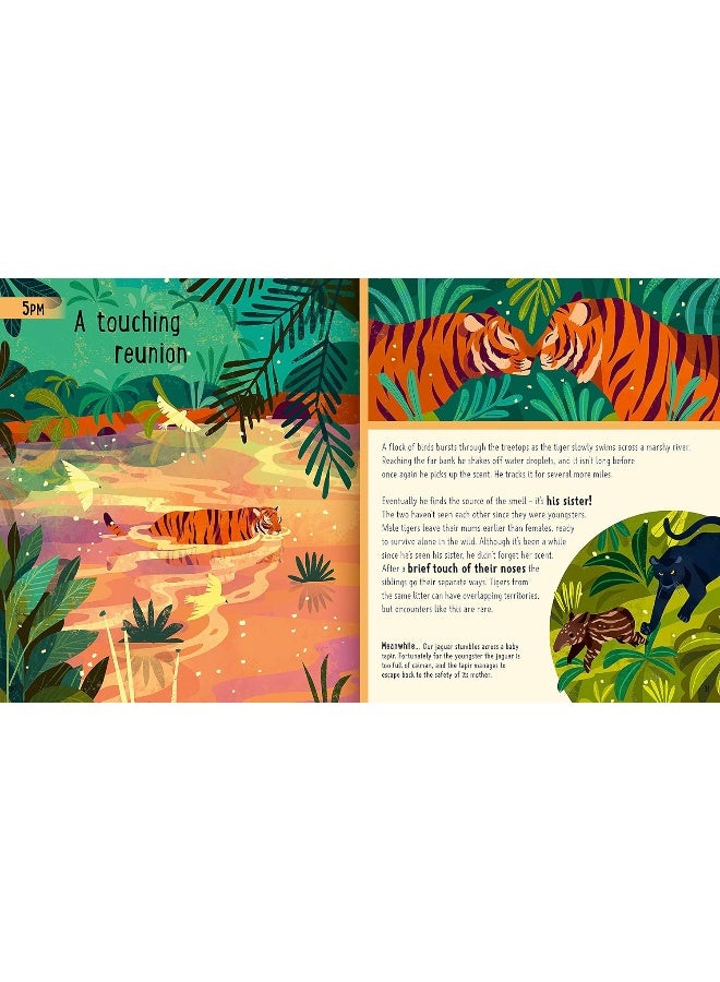 Big Cats (A Day in the Life): What Do Lions, Tigers and Panthers Get up to All D