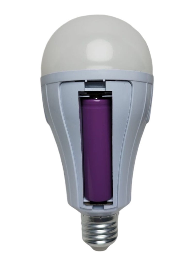 Generic Sea-Torg emergency bulb that works in the chandelier before and after a power outage, 12 watt white lighting, equipped with 2 rechargeable batteries.  - Image 1