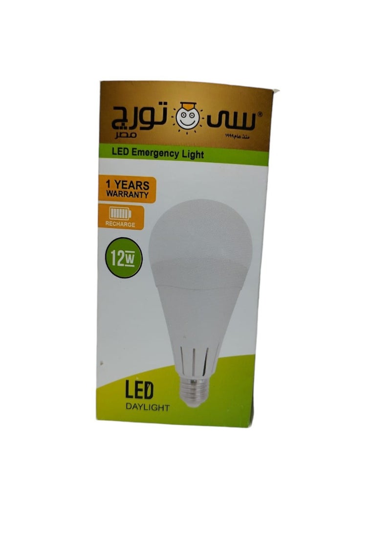 Generic Sea-Torg emergency bulb that works in the chandelier before and after a power outage, 12 watt white lighting, equipped with 2 rechargeable batteries.  - Image 2