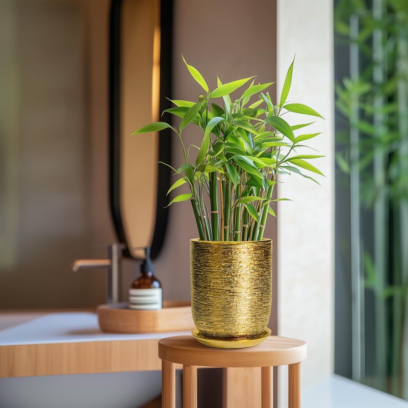 SUNPOTFOR Indoor Plant Pot 8 Inch - Ceramic Planter for Indoor Outdoor Flowers, Round Modern Flower Pot with Drainage Hole and Saucer, Gifts for Plants Lovers, Garden Room Decor, Gold - Image 2