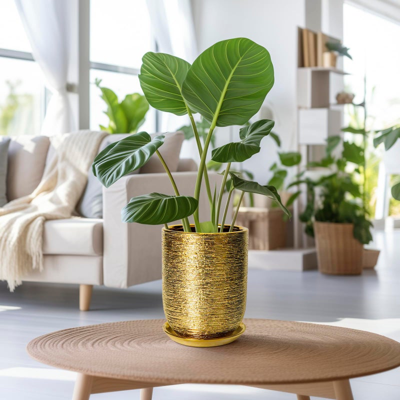 SUNPOTFOR Indoor Plant Pot 8 Inch - Ceramic Planter for Indoor Outdoor Flowers, Round Modern Flower Pot with Drainage Hole and Saucer, Gifts for Plants Lovers, Garden Room Decor, Gold - Image 4