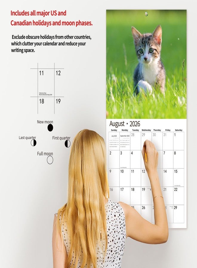 windrio 2026 Wall Calendar,Calendar 2026, November 2025 - December 2026, Wall Calendar Kittens, 12" x 24" Opened,Full Page Months Thick & Sturdy Paper for Gift Perfect Calendar Organizing & Planning - Image 5