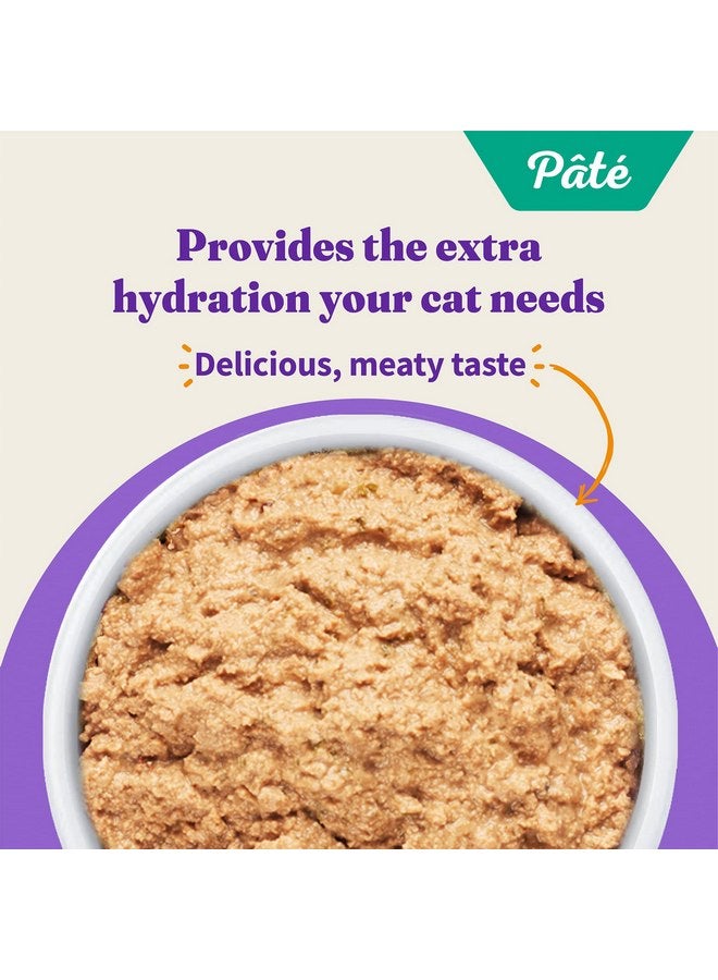 Halo Adult Grain Free Wet Cat Food Pate, Chicken Recipe, Healthy Cat Food with Real, Whole Chicken, 5.5 oz Can (Pack of 12) - Image 5