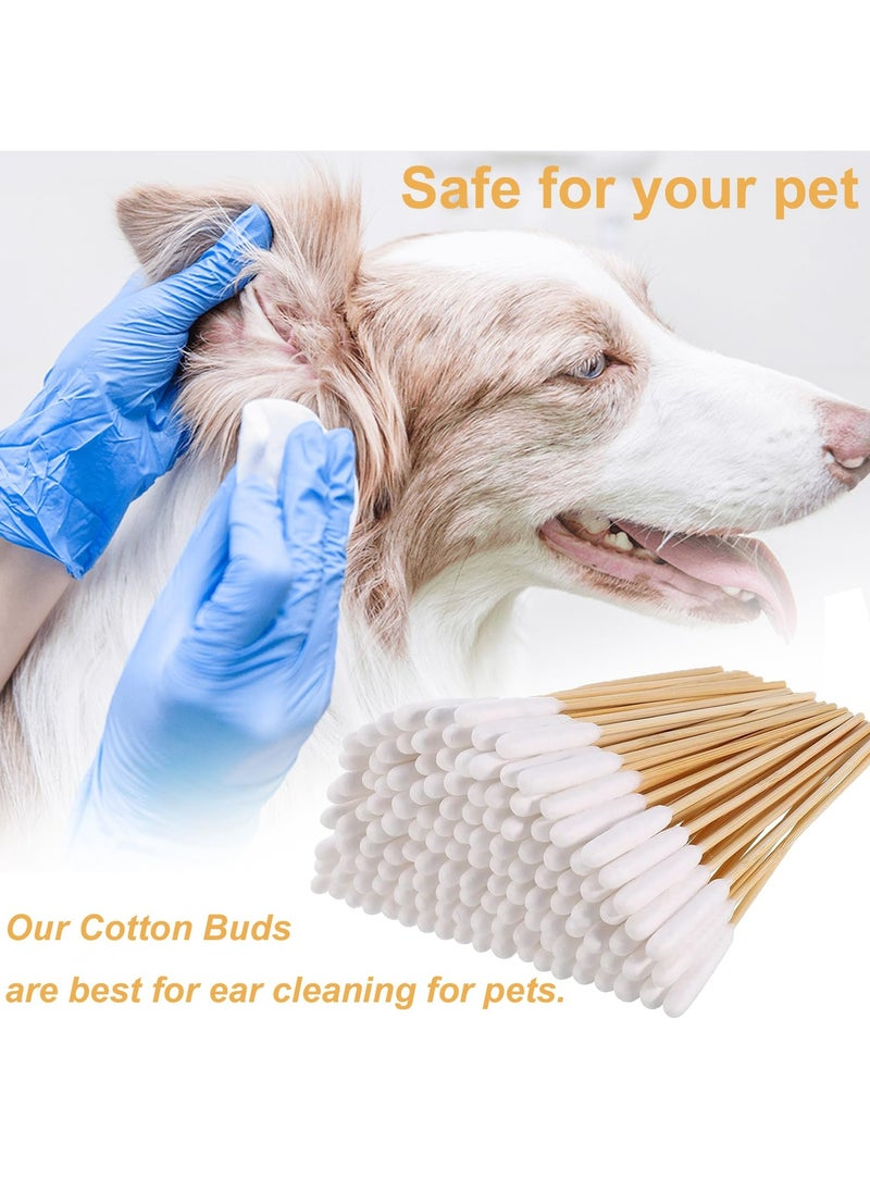 CMGTYYD CMGTYYD 200 Pieces Dogs Ear Cleaning Swabs,Large Cotton Buds Animal Ear Cleaning Cotton Swab Sticks Remover Itchy,Animal Ear Cleaner Big Cotton Swab Sticks Cotton Buds for Cat Dog Ear Wax Infection Removal  - Image 4