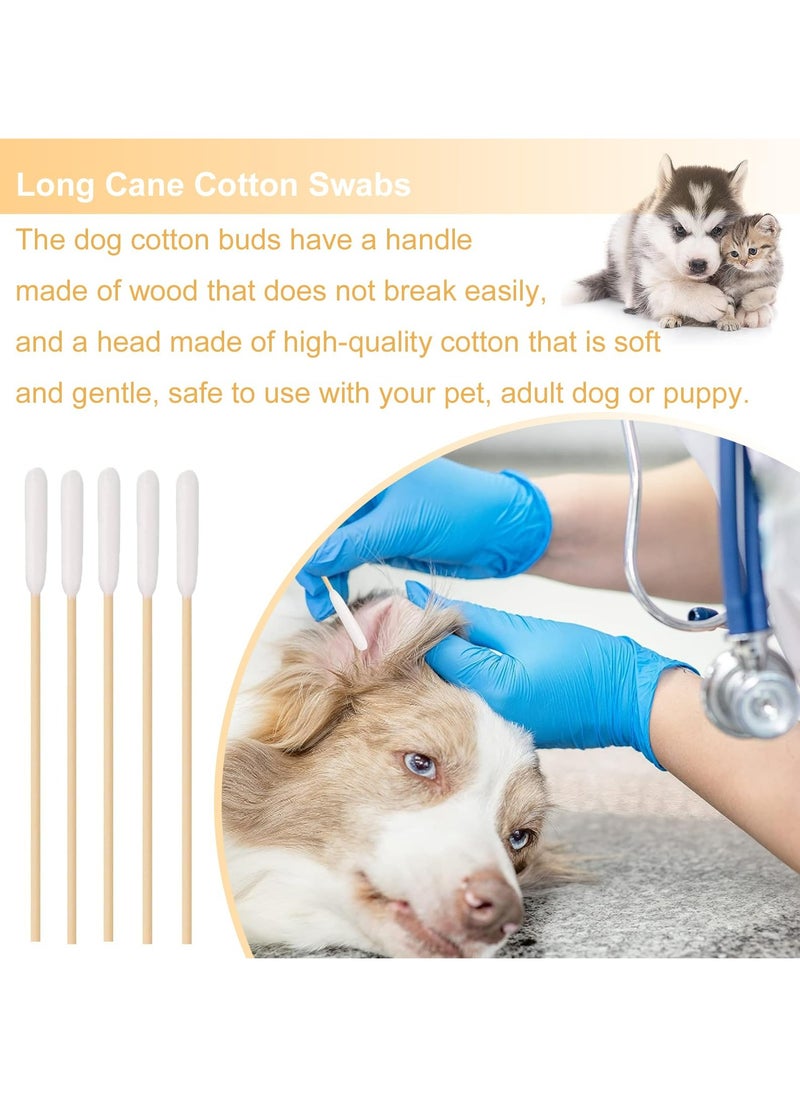 CMGTYYD CMGTYYD 200 Pieces Dogs Ear Cleaning Swabs,Large Cotton Buds Animal Ear Cleaning Cotton Swab Sticks Remover Itchy,Animal Ear Cleaner Big Cotton Swab Sticks Cotton Buds for Cat Dog Ear Wax Infection Removal  - Image 5