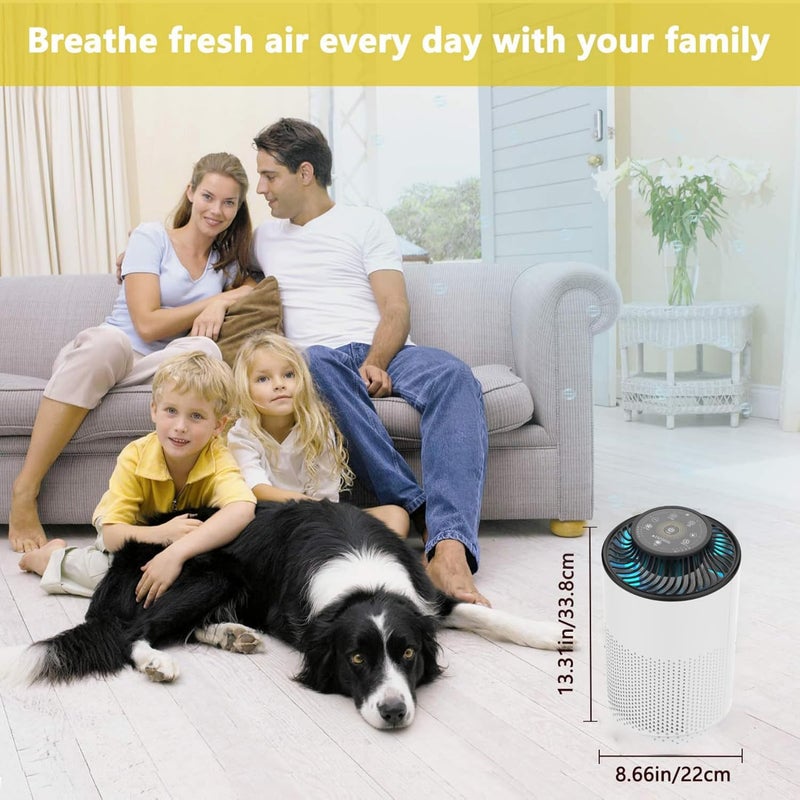 Luby Air Purifier for Home with True HEPA Filter, 5 Speeds, 8H Timer, Night Light & Filter Change Reminder, Portable Air Cleaner for Dust, Smokers, Pollen, Pet Dander, Hayfever, Cooking Smell - Image 5