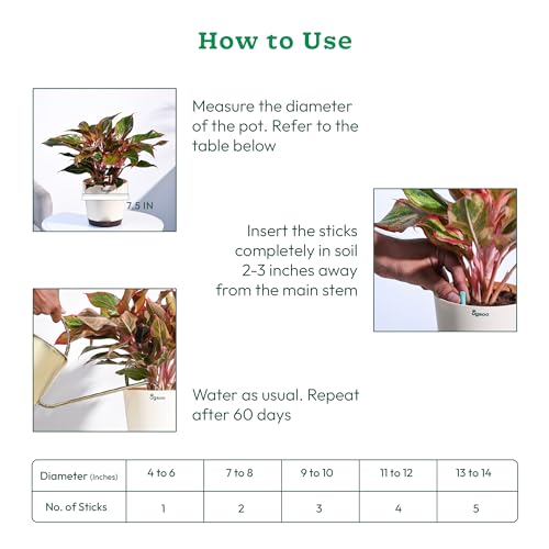 UGAOO Plant Food Sticks For All Home Garden Indoor & Outdoor Plants - Pack Of 20 - Image 4