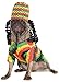 Rubies Princess Pet Costume for Dogs or Cats XXL - Image 3