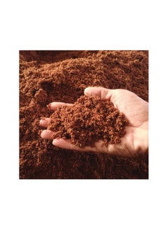 Generic Peatmoss ( Bag 3 Kg) 